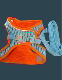 Image 1 of Reflective Harness