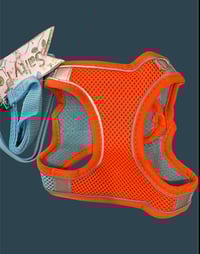 Image 2 of Reflective Harness
