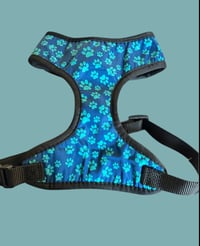 Customizable Harnesh