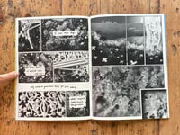 Image 3 of GARDEN #1 ANTHOLOGY