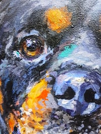 Image 2 of Big sip! Rottweiler original art