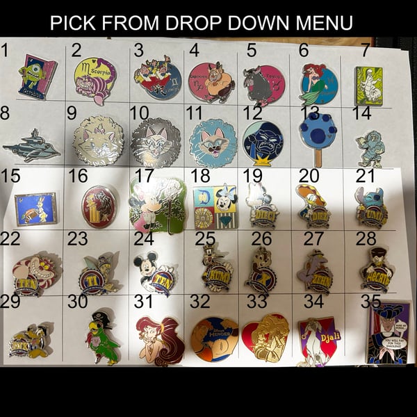 Image of Assorted Mystery Pins 6