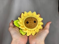 Image 3 of Stress Ball Buddies/Flowers
