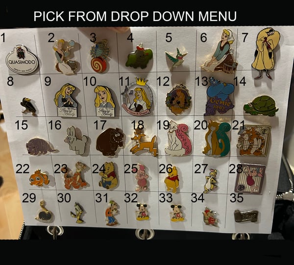 Image of Assorted open edition pins