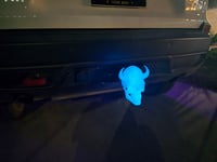 Image 2 of Glow in the Dark Hitch Cover - White Skull Glows Blue!