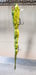 Image of XXL Ratt Frog. 6-1/2ozs. 10 inch Body.