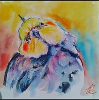 Cockatiel portrait
