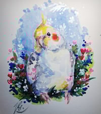 Image 1 of Cockatiel watercolor painting 