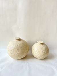 Image 1 of Daisy Moon vase- L