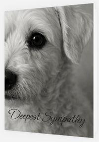 Image 1 of Dog (white) (cards & envelopes) min order 50 cards