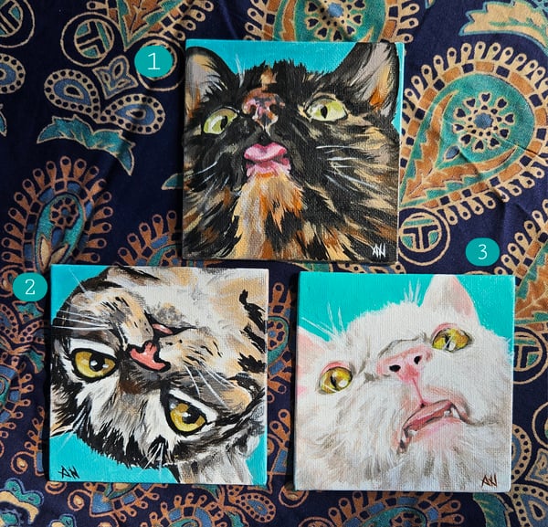 Image of Kitty selfies