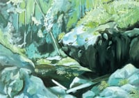 Northbrook Gorge