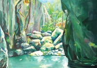 Northbrook Gorge 3