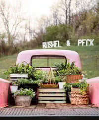 Image 2 of Floral Farm Minis-Deposit Only