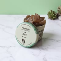 BonBONS du Vercors | Pin
