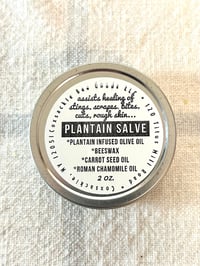 Image 1 of Plaintain Salve with Beeswax