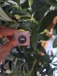Image 2 of COMBO  "DOE" & "GLOW UP"