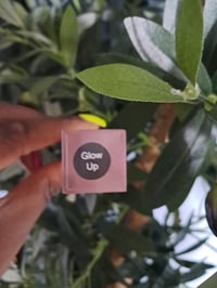 Image 3 of COMBO  "DOE" & "GLOW UP"