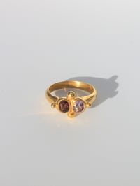 Image 1 of Mira