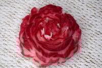 Image 4 of Rose Candle