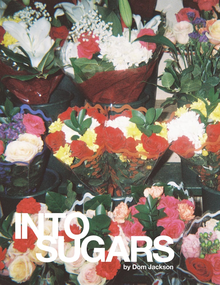 Image of Into Sugars, 2nd Ed.
