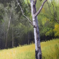 Image 2 of Qu'Appelle Valley Birch Trees