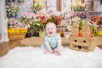 Image 3 of 4.18.25 & 4.19.25: Easter Mini Session - No bunnies