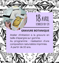 GRAVURE BOTANIQUE - 2H 