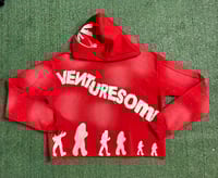 Venturesome Crop Hoodie (Brand New)
