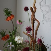 18.05.2025 | CORSO DI IKEBANA