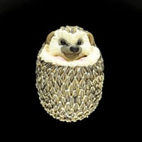 Image 1 of XL. 3D Perturbed Balled Up Hedgehog (flat-backed) - Flamework Glass Sculpture Bead