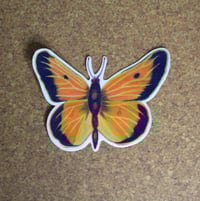 Image 1 of Orange Sulfur Butterfly Die Cut Sticker