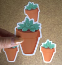 Image 2 of Succulent Plant Die Cut Sticker