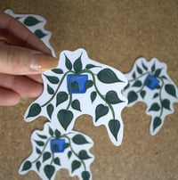 Image 2 of Pothos Plant Die Cut Sticker