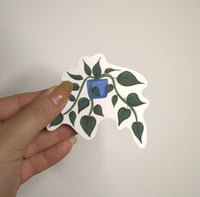 Image 3 of Pothos Plant Die Cut Sticker