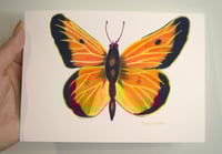 Image 3 of Orange Sulfur Art Print