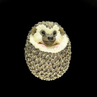 Image 1 of XXL. 3D Cute Hedgehog - Flameworked Glass Sculpture Bead