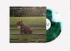 ‘This Won’t Ever Last’ - Green Marble Vinyl (Damaged Sleeve)