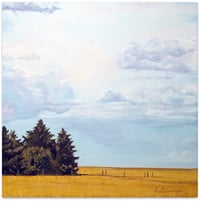 Image 1 of Canola Fields - Swift Current