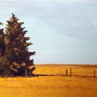 Image 3 of Canola Fields - Swift Current