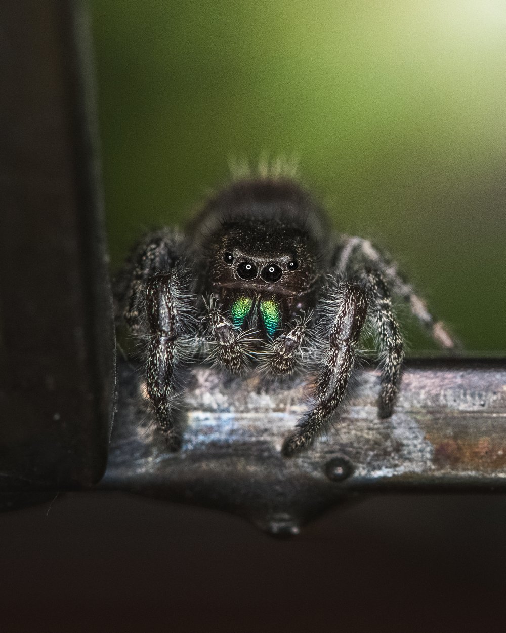 Image of A Beautiful Jumper