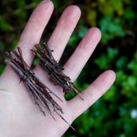 Image 6 of Hawthorn and Bog Oak Thorn Box (TH112)