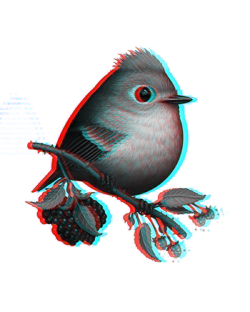 Image of Ruby-crowned Kinglet (3D)