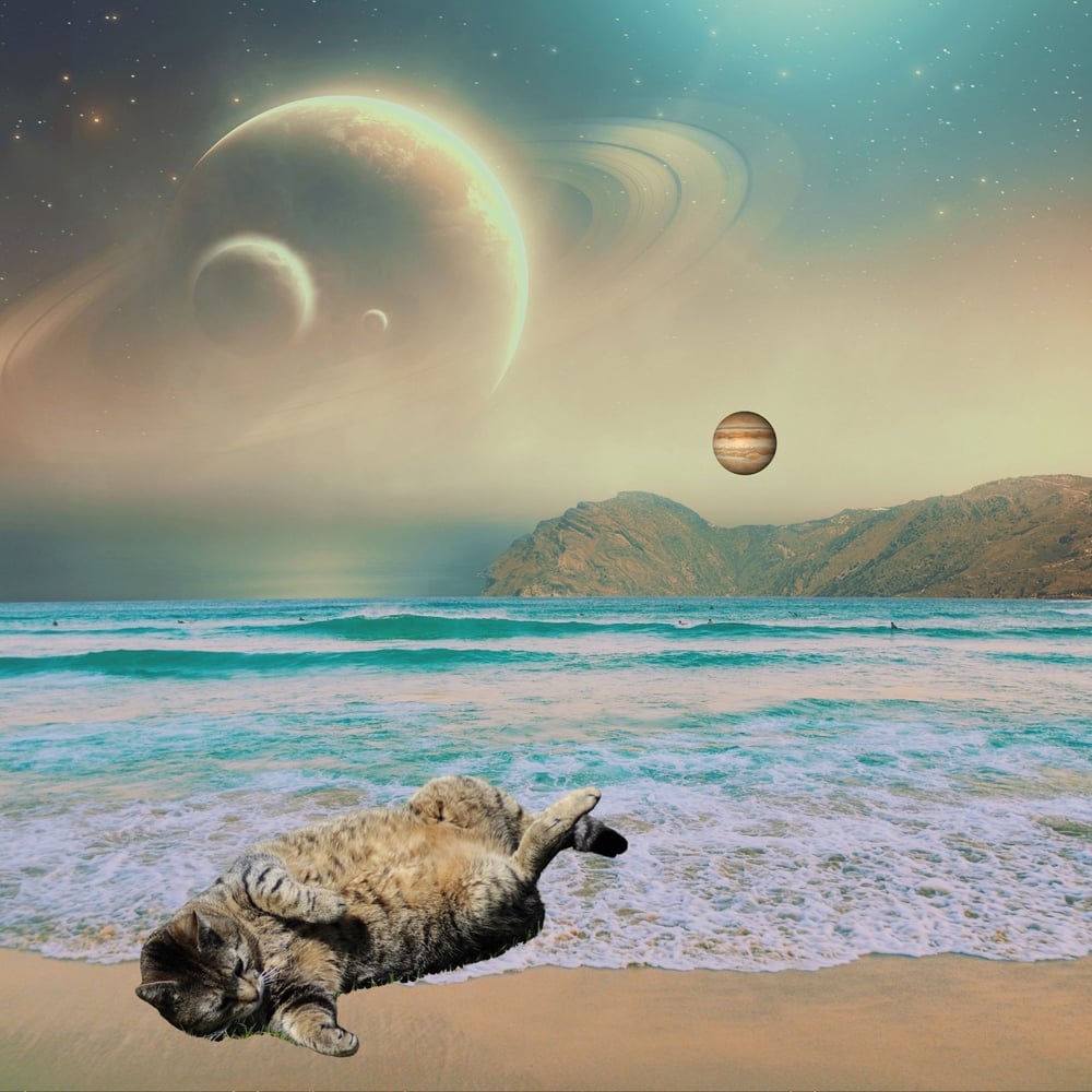 Image of FREE SHIPPING - Cat Chilling on a Space Beach - 12x12 inch - Matte Giclee Print 
