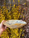 Cloud Cover Dish 1