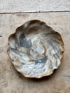 Cloud Cover Dish 1
