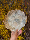 Cloud Cover Dish 2