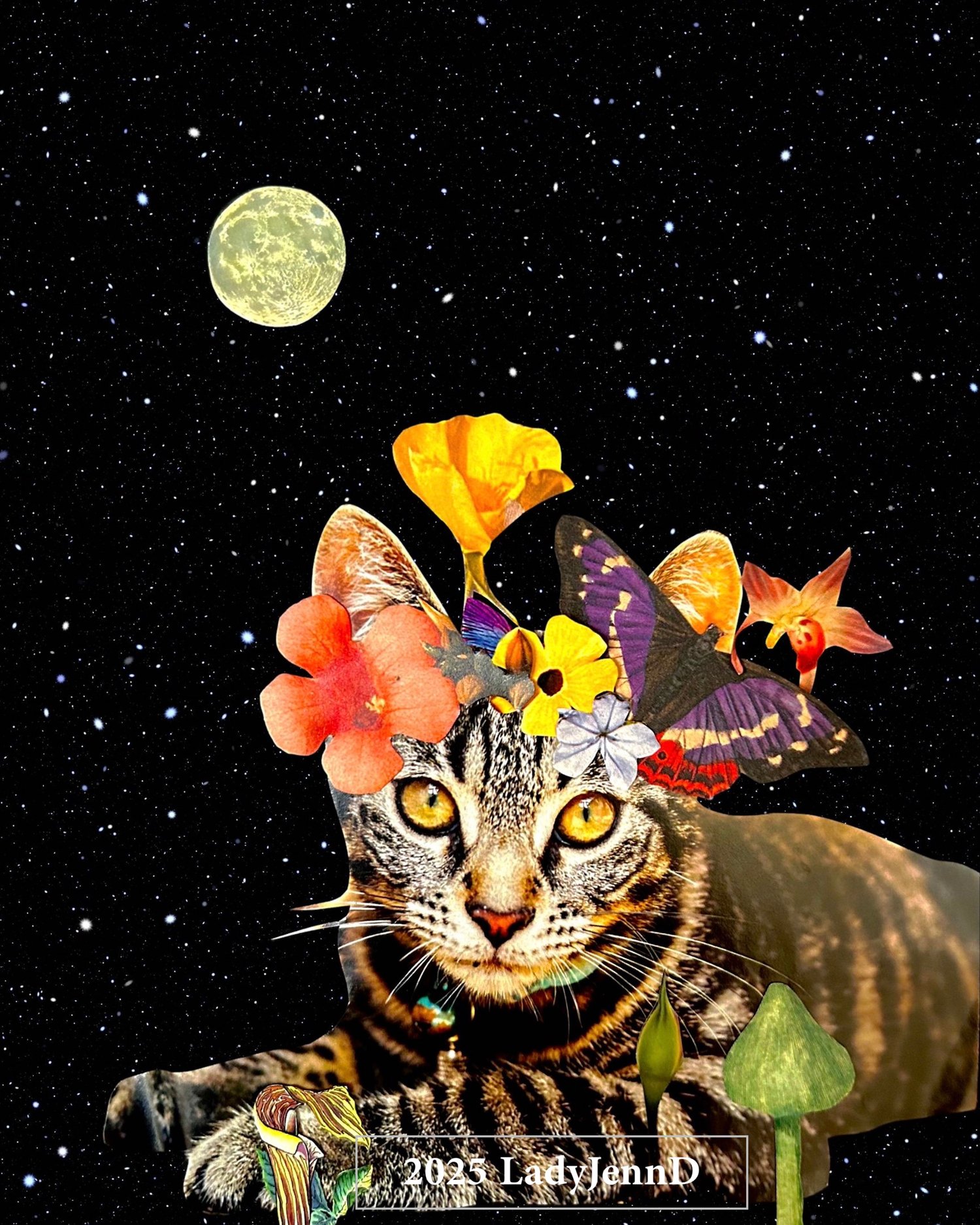 Image of Frida Cat-Lo - Matte Giclee Print - 8x10 inches