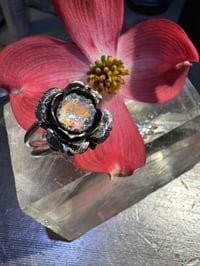 Image 3 of Bloom