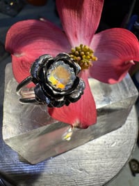 Image 5 of Bloom